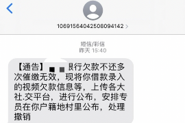 辽宁贷款清欠服务